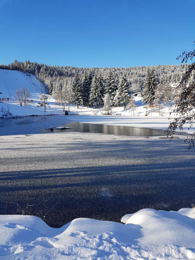 HerrischriedJules Traum Im Schwarzwald公寓 外观 照片