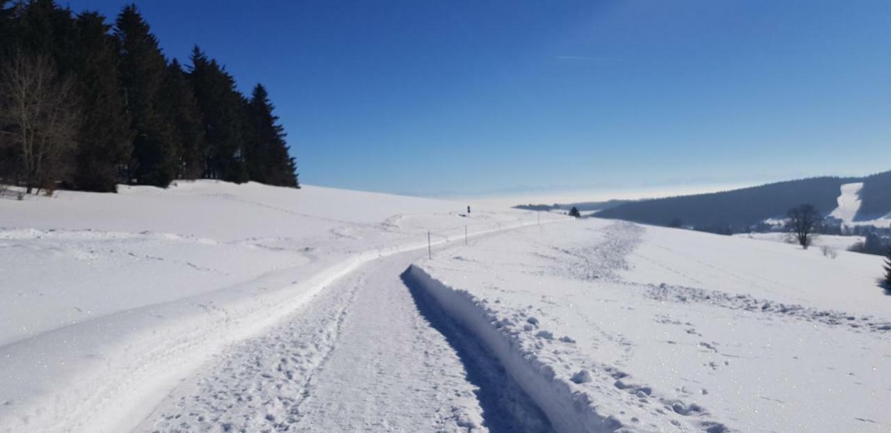 HerrischriedJules Traum Im Schwarzwald公寓 外观 照片
