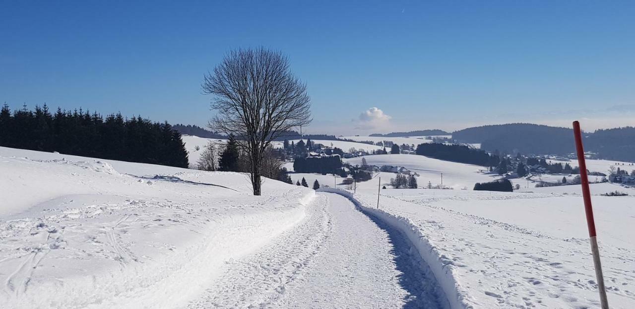 HerrischriedJules Traum Im Schwarzwald公寓 外观 照片